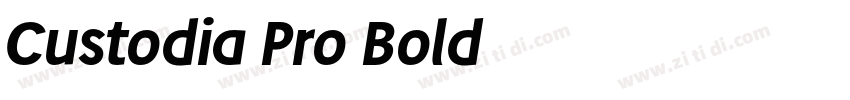 Custodia Pro Bold字体转换